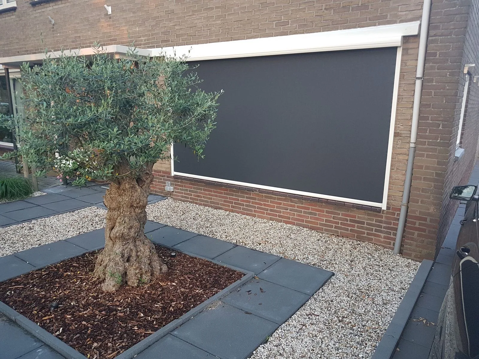 Antracietgrijs zipscreen voor een groot raam, met een olijfboom op de voorgrond