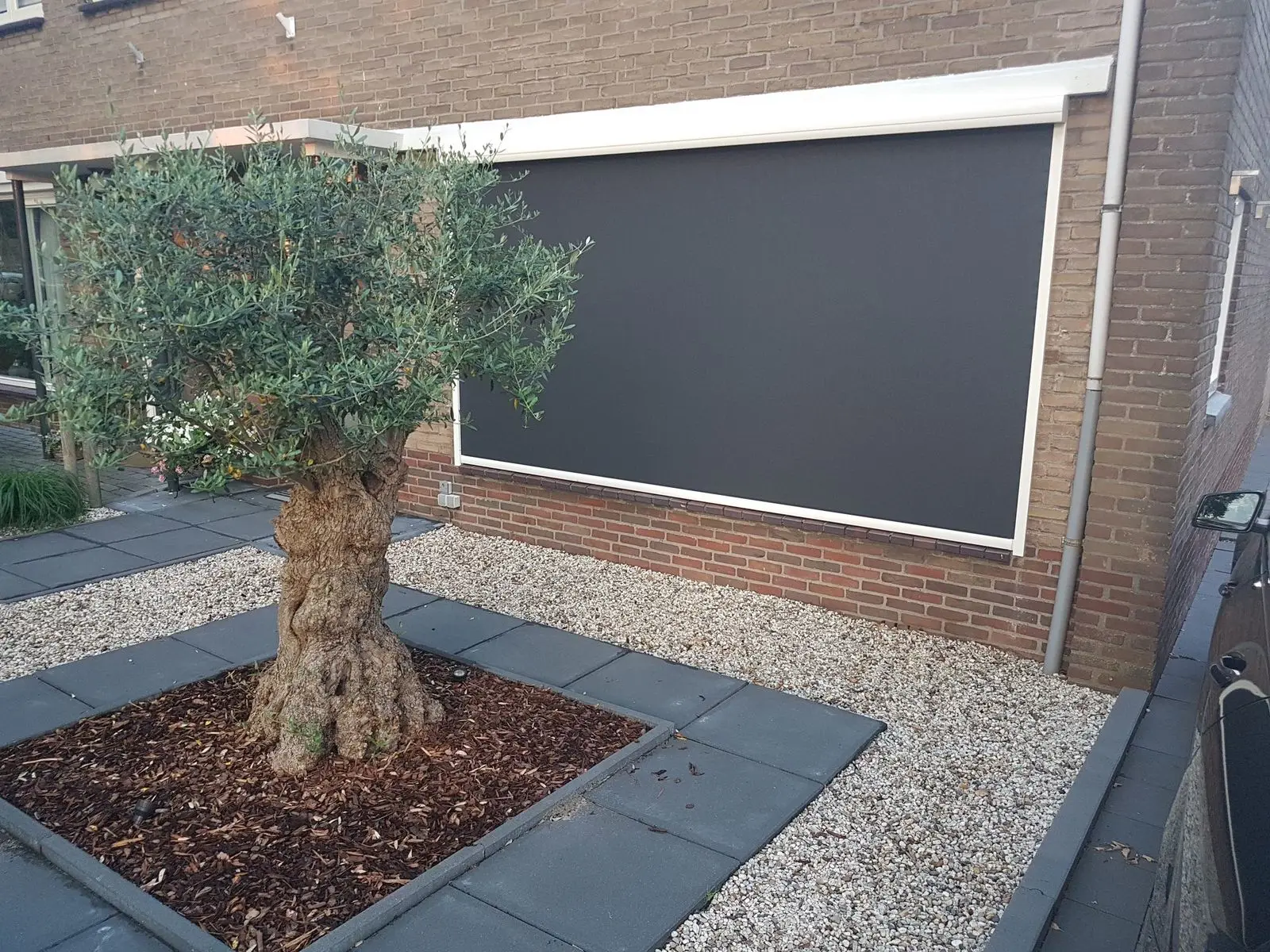 Antracietgrijs zipscreen voor een groot raam, met een olijfboom op de voorgrond