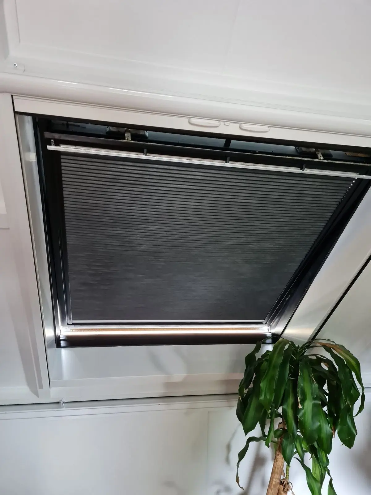 Zonwering in een dakraam, met een plant op de voorgrond